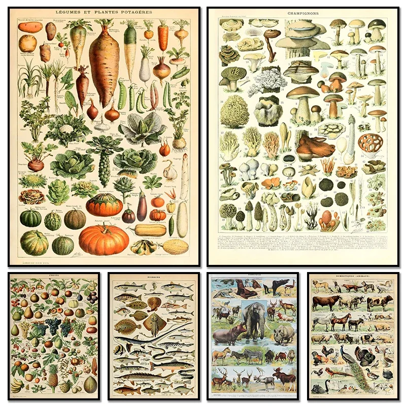 Resin Art Wall Decor - Vintage Palaeobios Botaniczny Retro Plakat Owad