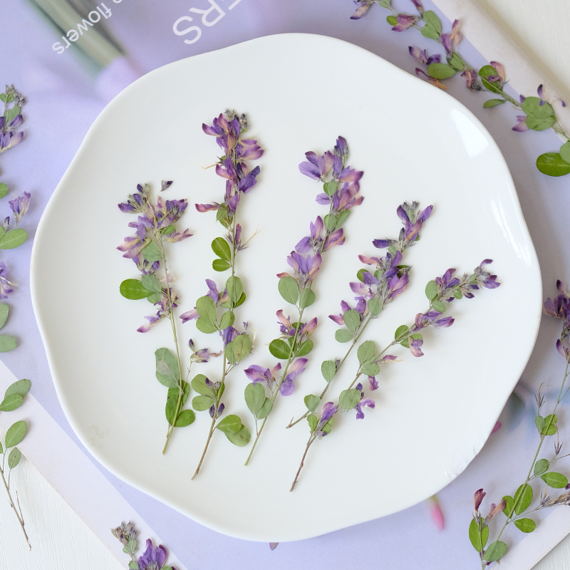 6 sztuk, naturalne suszone i p – Resin Art Baby recenzja i cena