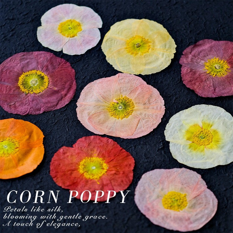 1 szt., Naturalne maki polne s – Resin Art Baby recenzja i cena
