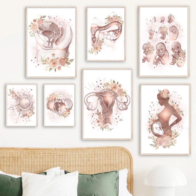 Ginekologia Anatomia kobiecej  – Resin Art Pregnancy recenzja i cena