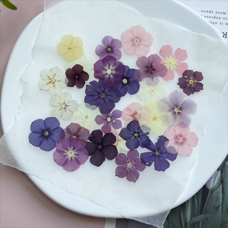 12 szt., Półprzezroczyste, nis – Resin Art Baby recenzja i cena